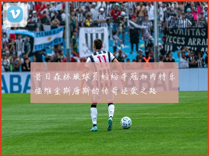 昔日森林狼球员纷纷夺冠加内特乐福维金斯唐斯的传奇逆袭之路