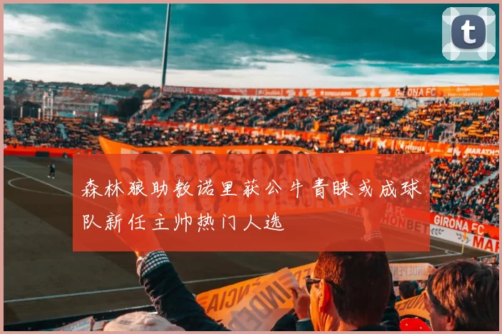 森林狼助教诺里获公牛青睐或成球队新任主帅热门人选